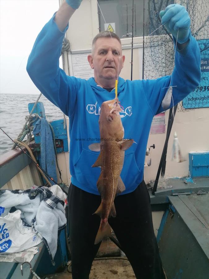 3 lb 8 oz Cod by Unknown