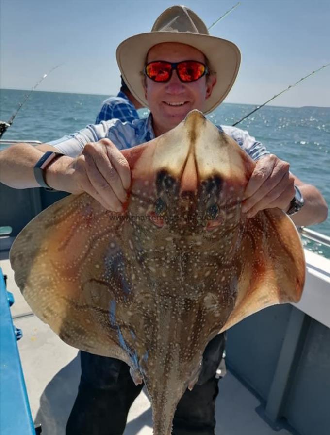 9 lb Undulate Ray by Unknown