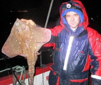 5 lb Thornback Ray by Unknown