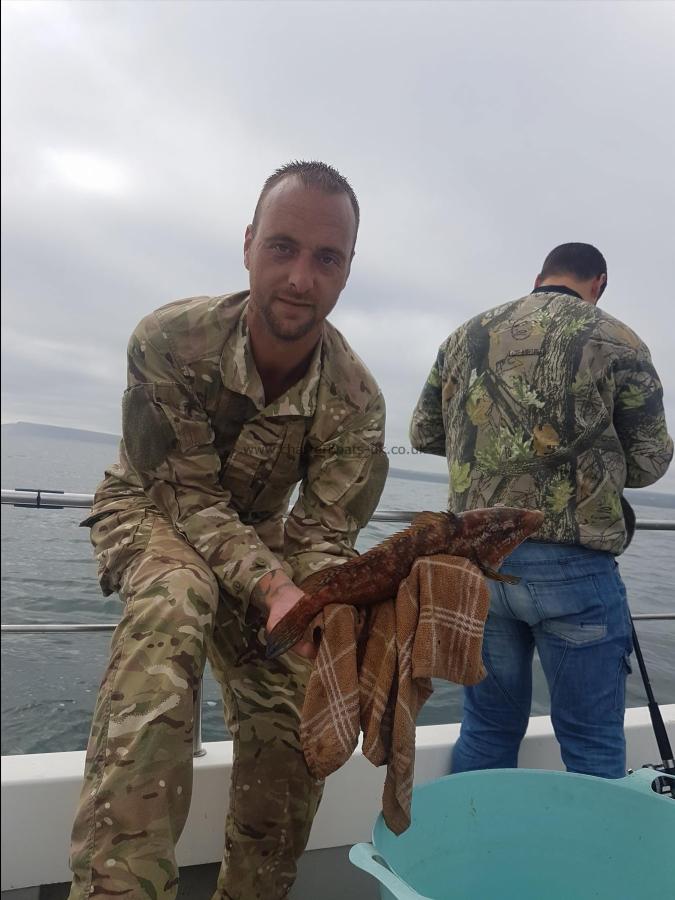 4 lb Ballan Wrasse by jason fox