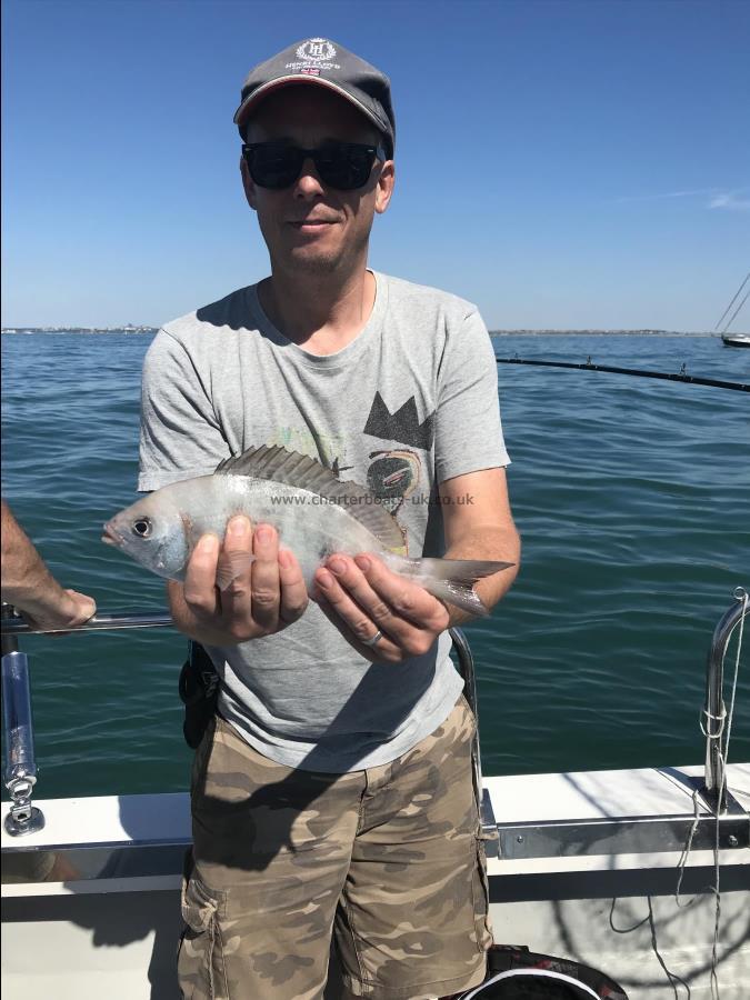 1 lb 1 oz Black Sea Bream by Paul