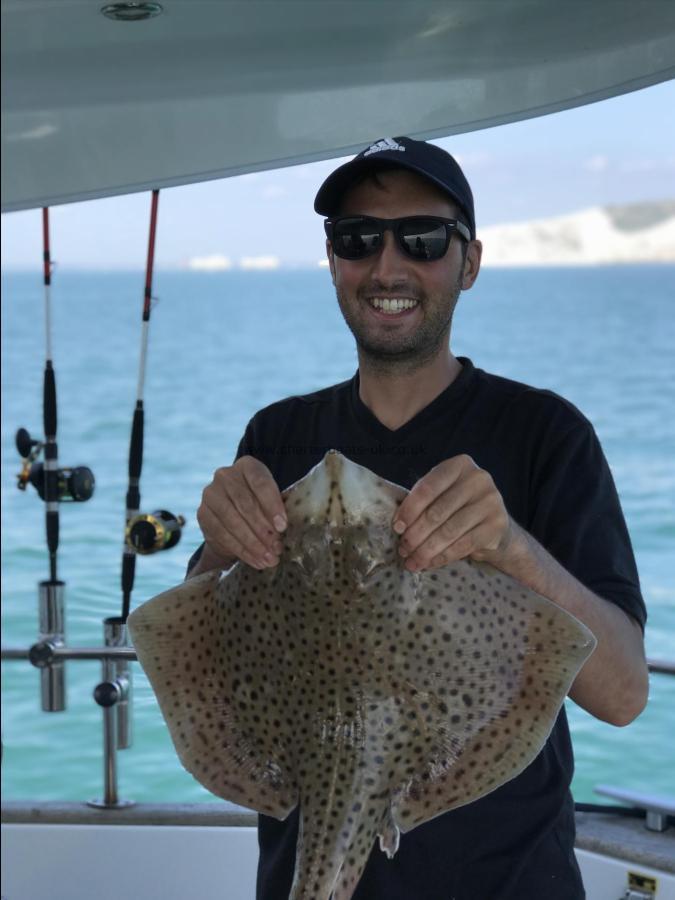 7 lb Thornback Ray by Unknown