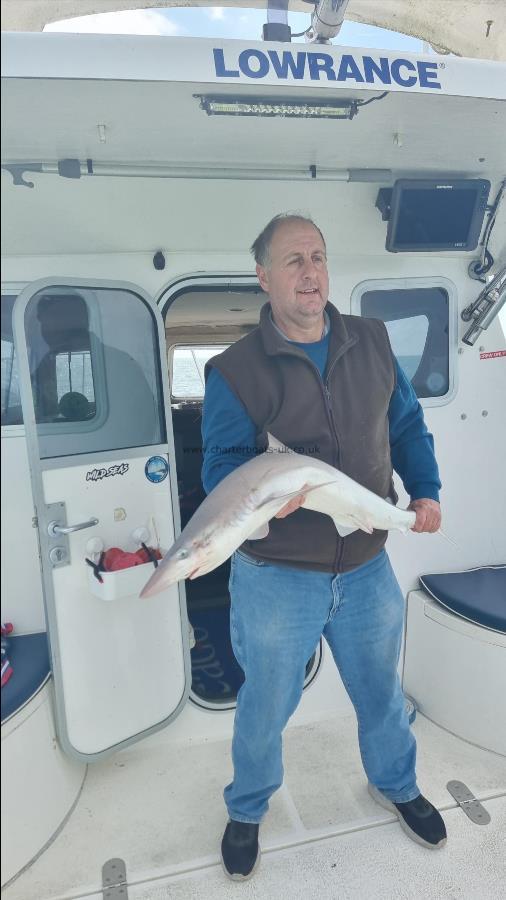 26 lb 3 oz Tope by Bruce