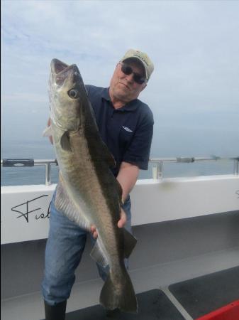 15 lb 10 oz Pollock by Nigel Andover