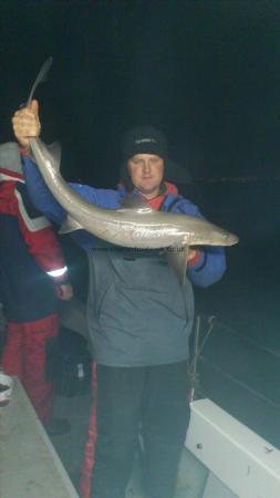 13 lb Smooth-hound (Common) by chris jenkins  teamkeens