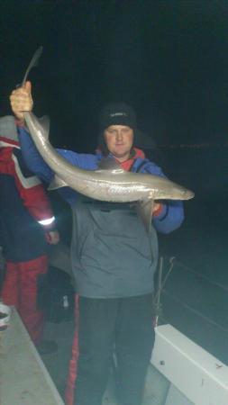 13 lb Smooth-hound by chris jenkins  teamkeens