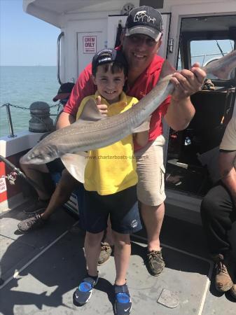 13 lb Starry Smooth-hound by Unknown