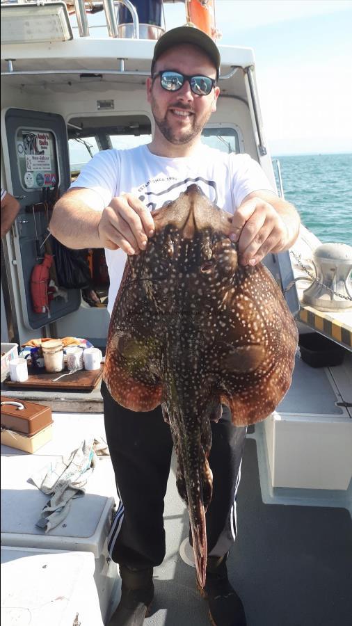 12 lb Undulate Ray by Unknown