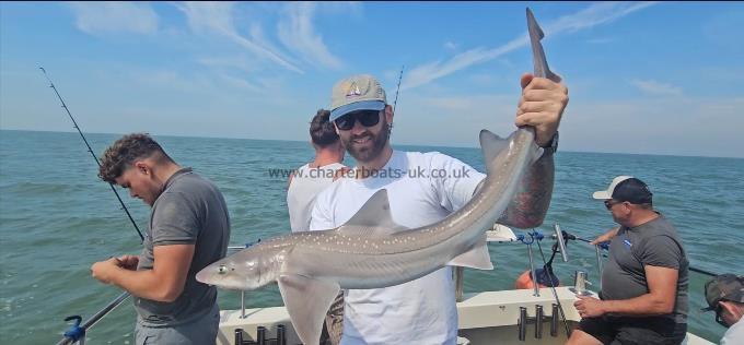 10 lb Starry Smooth-hound by Jim