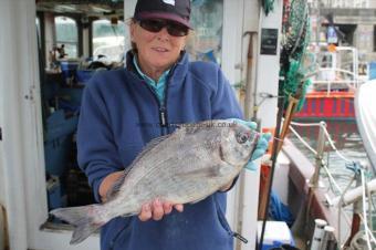 3 lb 11 oz Black Sea Bream by Dee