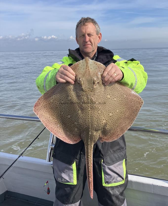 11 lb Blonde Ray by ray