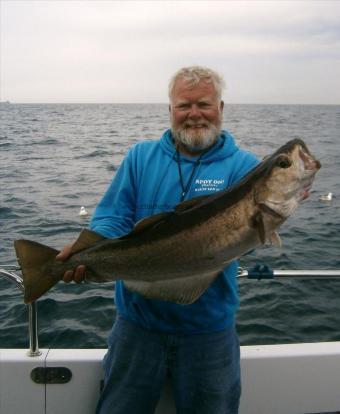 19 lb Pollock by Phil The Fish