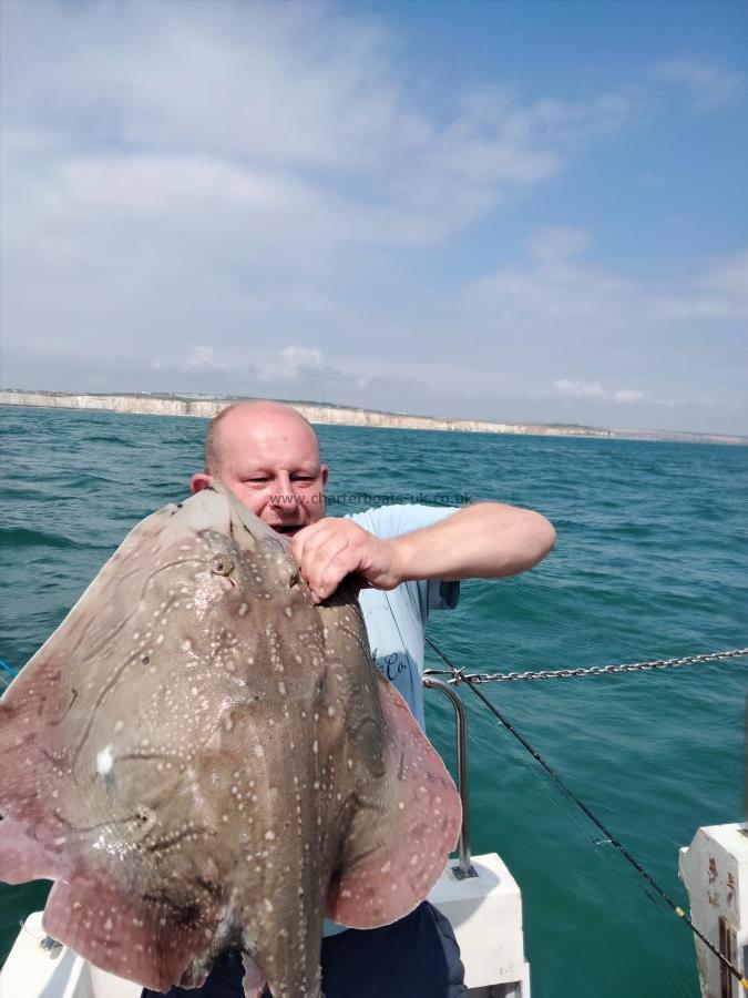 17 lb Undulate Ray by Unknown