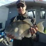 5 lb 2 oz Trigger Fish by sea leopard