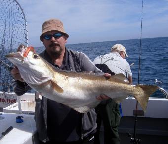 15 lb 5 oz Pollock by Zed