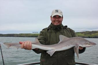 6 lb Starry Smooth-hound by John Fitz