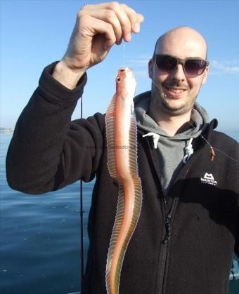 2 oz Red Band Fish by Jonny Hunt