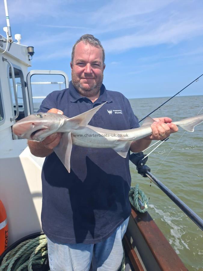 6 lb Smooth-hound by James