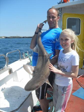 24 lb Starry Smooth-hound by Unknown