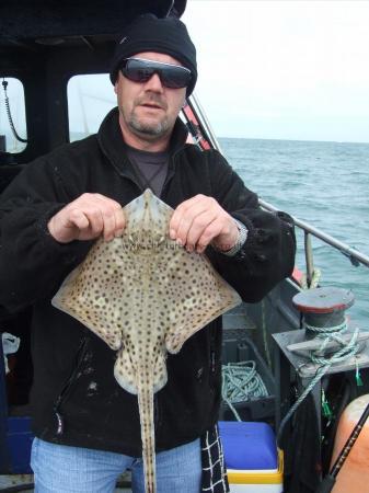 2 lb Spotted Ray by Unknown
