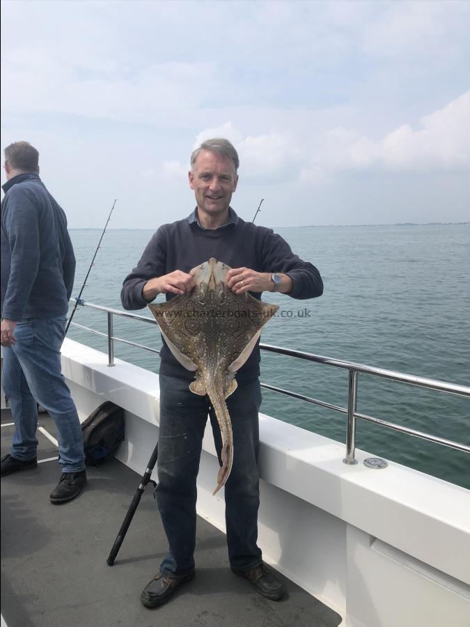9 lb 9 oz Undulate Ray by Unknown