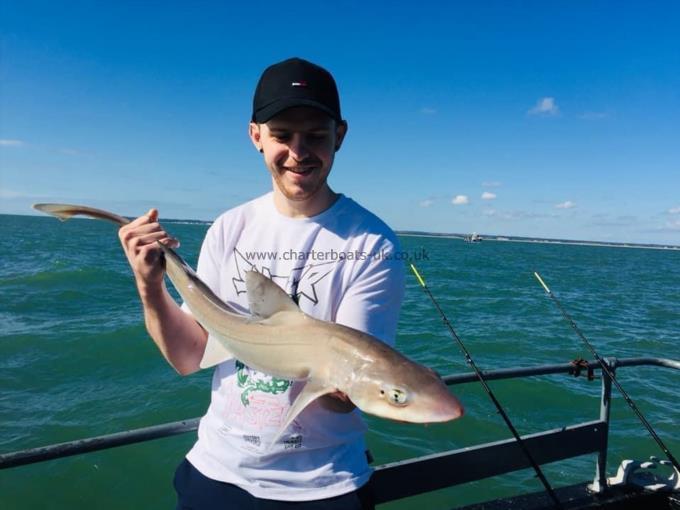 6 lb Smooth-hound (Common) by Unknown