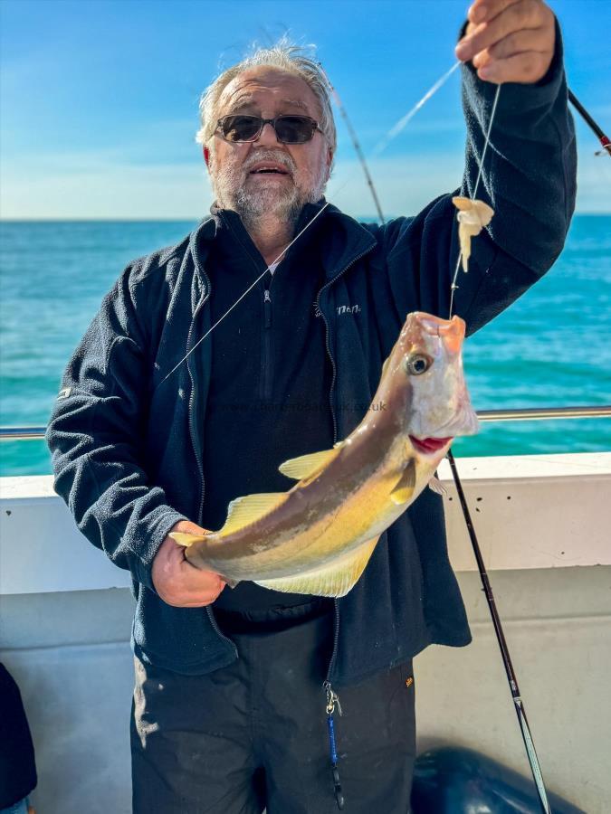 3 lb 9 oz Pollock by Unknown