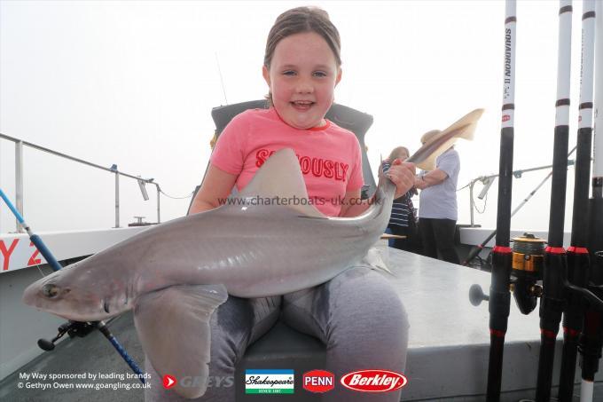 8 lb Starry Smooth-hound by Georgia