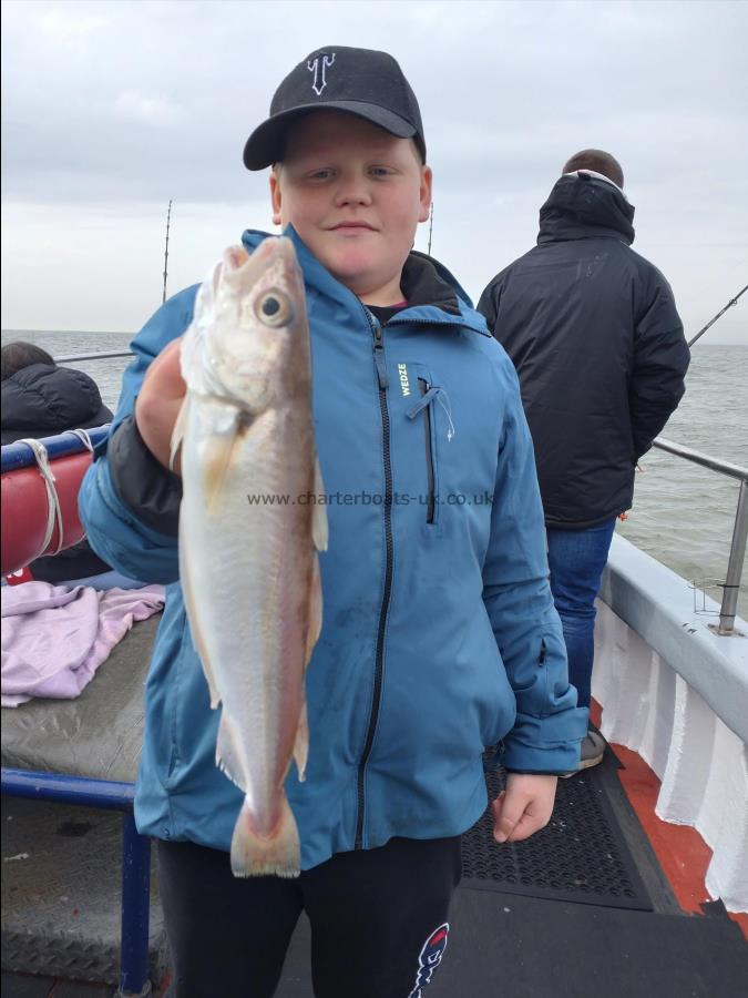 3 lb Whiting by Teddy