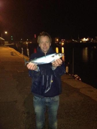 1 lb 8 oz Mackerel by Paul