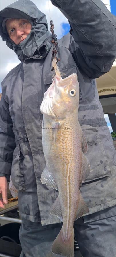 3 lb 14 oz Cod by Jeff