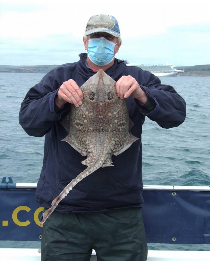 8 lb 8 oz Thornback Ray by David Hawker