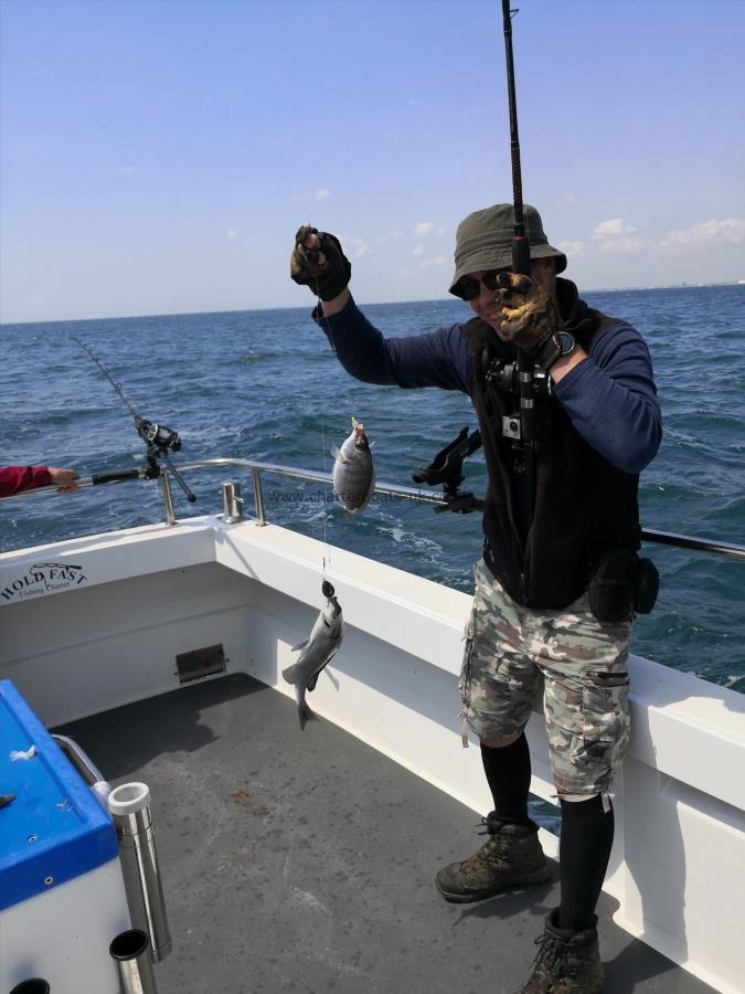 1 lb 8 oz Black Sea Bream by Matt