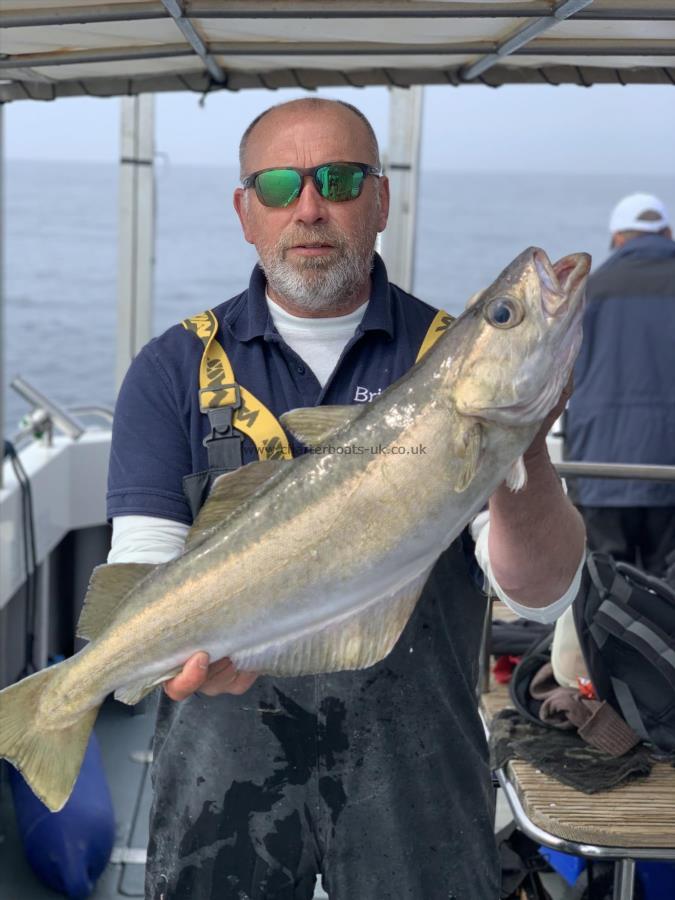 11 lb Pollock by Steve