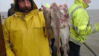 3 lb 2 oz Cod by Pete the pirate,