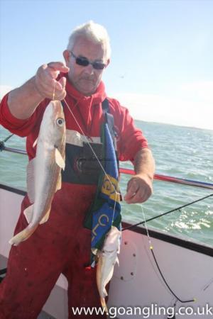 1 lb Whiting by Bob