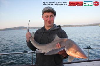 17 lb Starry Smooth-hound by Richard