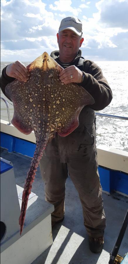 14 lb Thornback Ray by Best ray so far by Andy