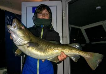 8 lb Cod by Unknown