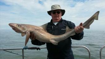 22 lb 10 oz Smooth-hound (Common) by Jim