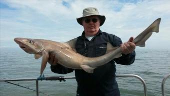 22 lb 10 oz Smooth-hound (Common) by Jim