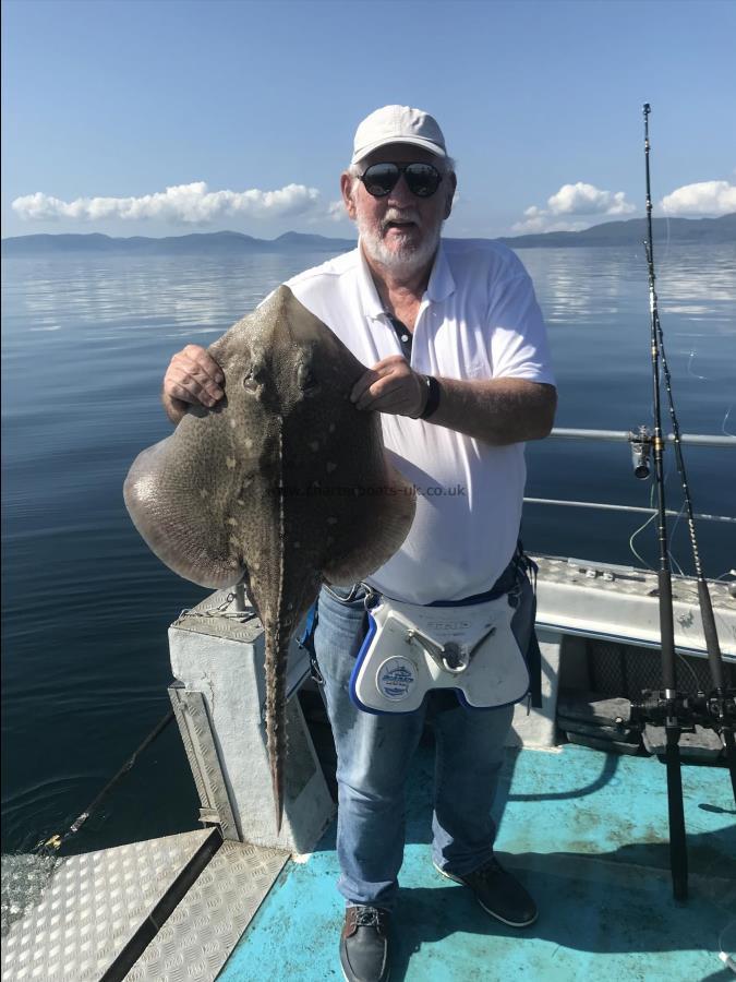 10 lb Thornback Ray by Unknown