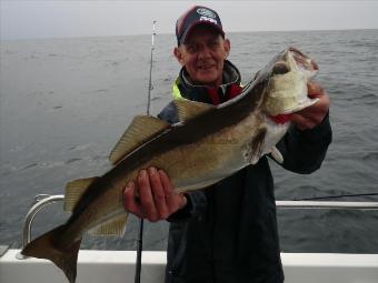 11 lb 9 oz Pollock by Tim Rampton