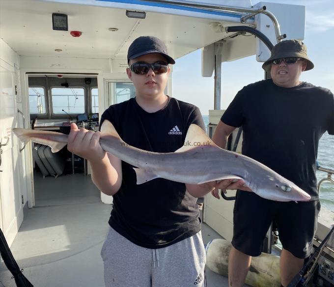 9 lb Smooth-hound by Unknown