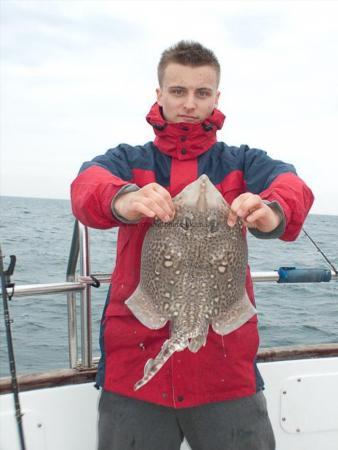 5 lb Thornback Ray by Josh Pizzie