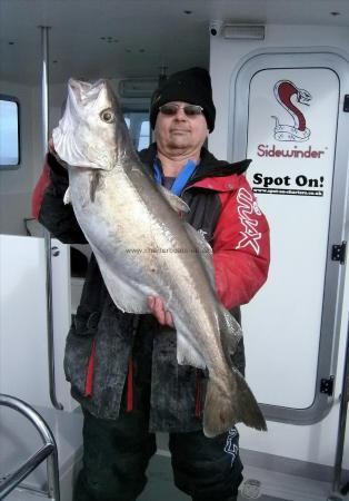 17 lb Pollock by Martin