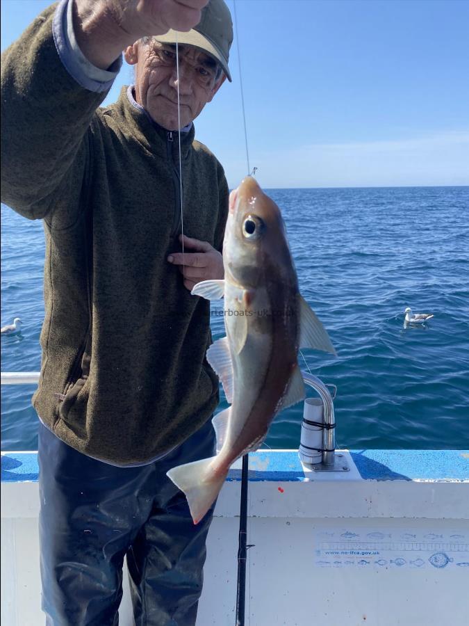 2 lb 3 oz Haddock by Mick.