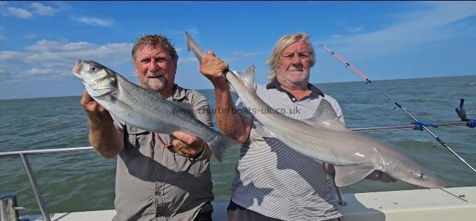 10 lb 8 oz Smooth-hound by Bob
