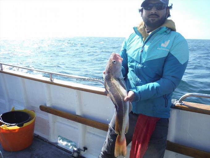 7 lb 2 oz Cod by Kabir