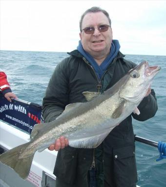 12 lb Pollock by Ivan Gould